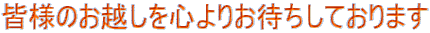Fl̂zS肨҂Ă܂